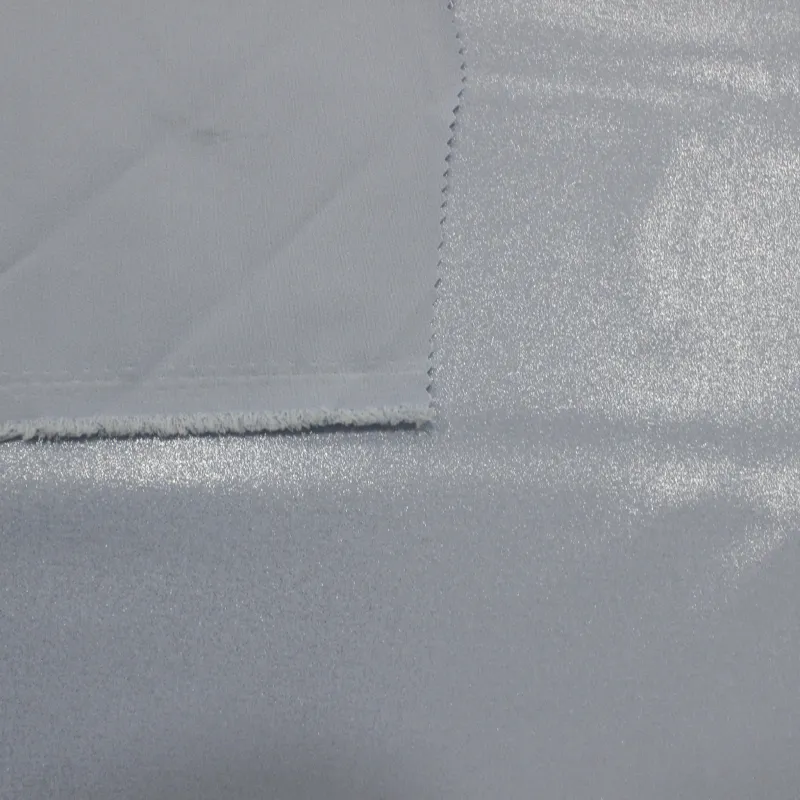 Tessuto Spalmato Argento | abbigliamento cerimonia