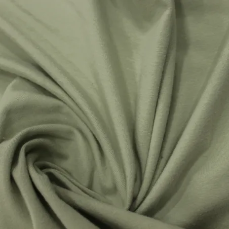 Jersey di cotone biologico di colore verde salvia | Shop bio