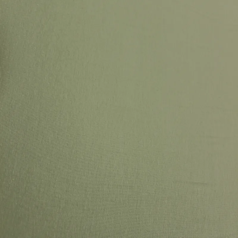 Jersey di cotone biologico di colore verde salvia | Shop bio