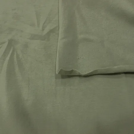 Jersey di cotone biologico di colore verde salvia | Shop bio