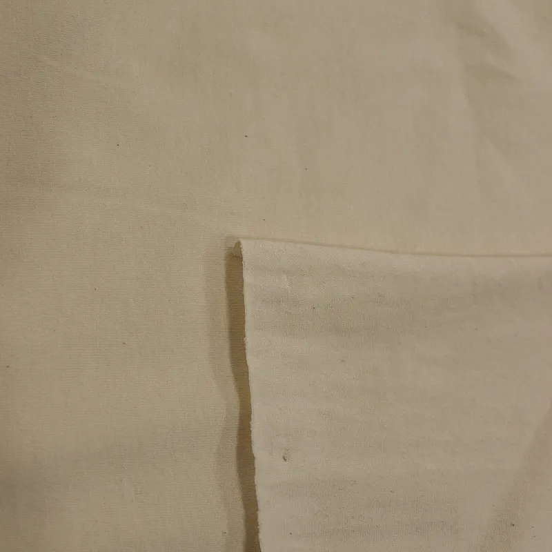 Jersey di cotone biologico di colore panna | Shop bio