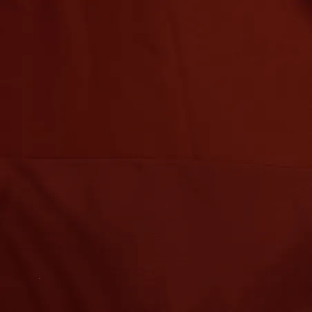 Raso di Viscosa di colore rosso |  tessuti per abbigliamento