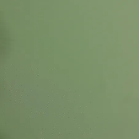 Raso leggero in poliestere verde acqua | Tessuti donna