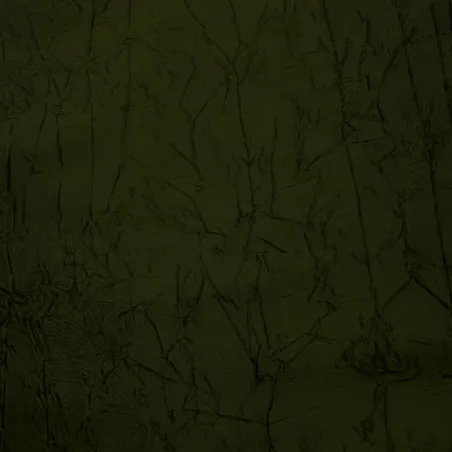 Tessuto Taffetà Grinzato – Verde  | Tessuto di Alta Qualità